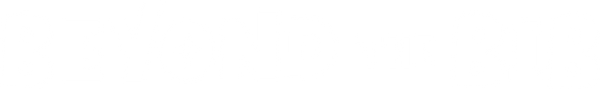 Beyond The Bib logo